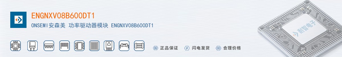 ENGNXV08B600DT1������