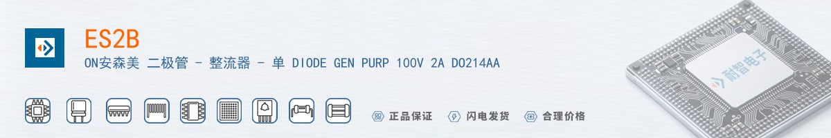 ES2B������