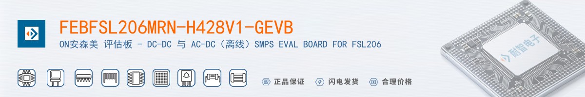 FEBFSL206MRN-H428V1-GEVB������