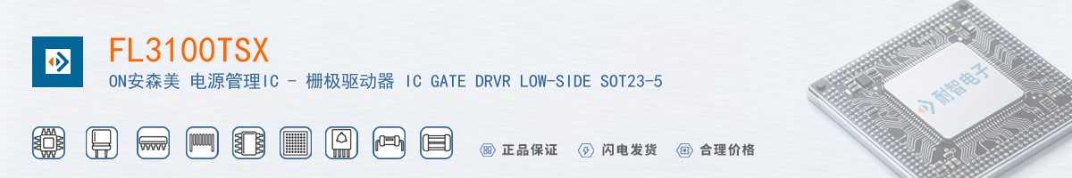 FL3100TSX������