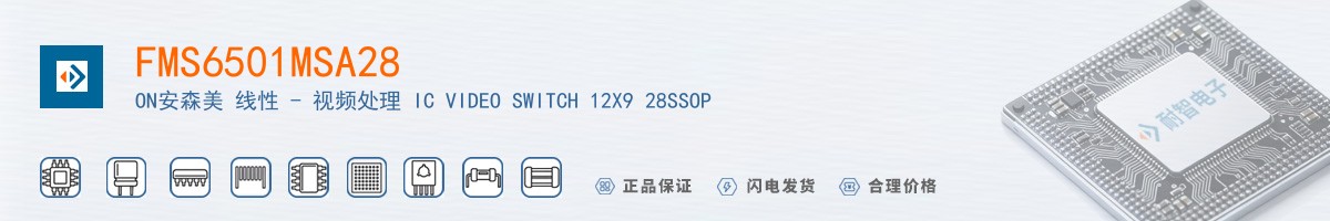 FMS6501MSA28������