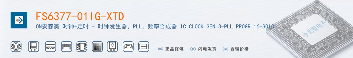 FS6377-01IG-XTD������