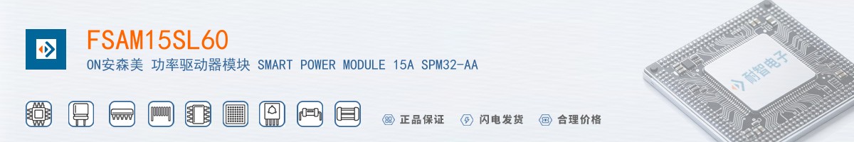 FSAM15SL60������