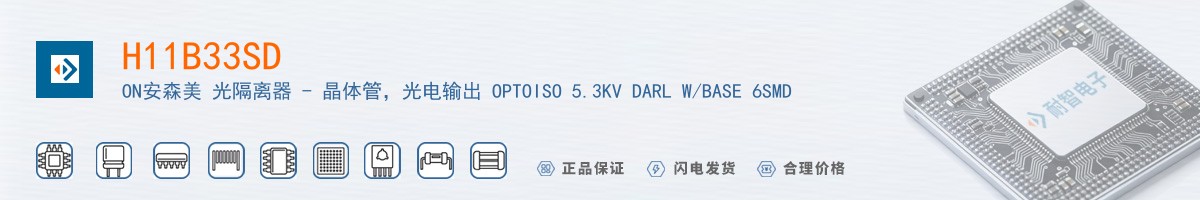 H11B33SD������