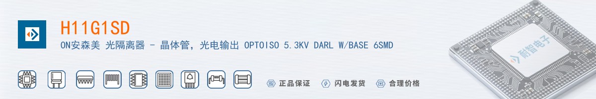 H11G1SD������