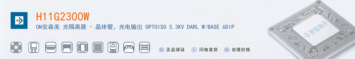 H11G2300W������