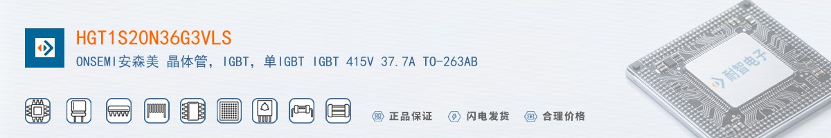HGT1S20N36G3VLS������