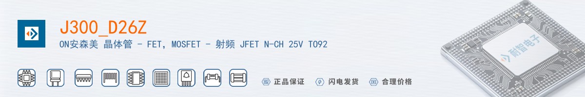 J300_D26Z������