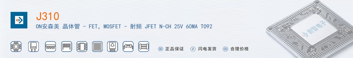 J310������