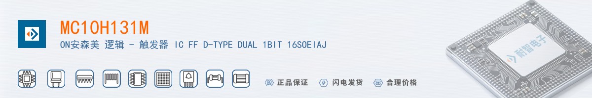 MC10H131M������