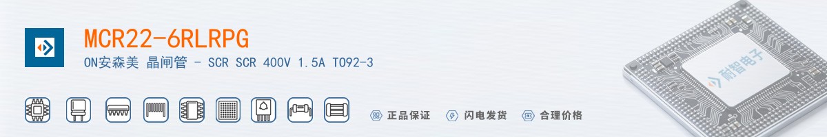 MCR22-6RLRPG������