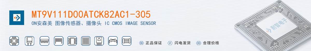 MT9V111D00ATCK82AC1-305������