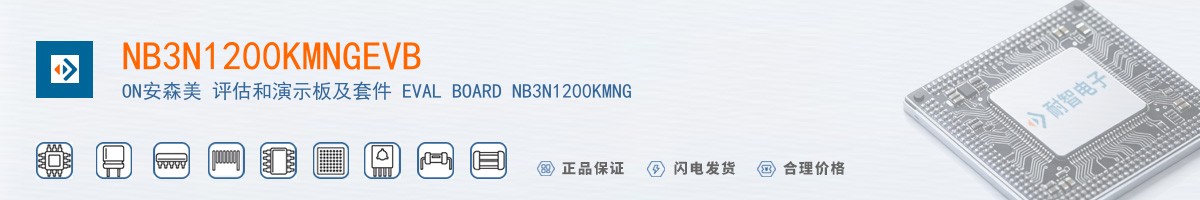 NB3N1200KMNGEVB������