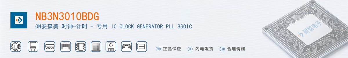 NB3N3010BDG������