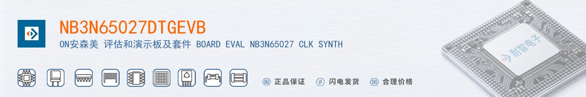 NB3N65027DTGEVB������