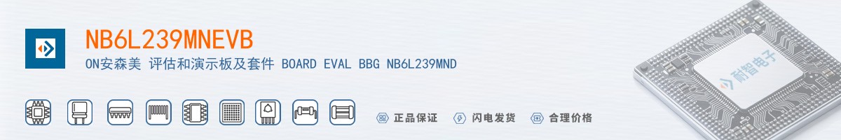 NB6L239MNEVB������