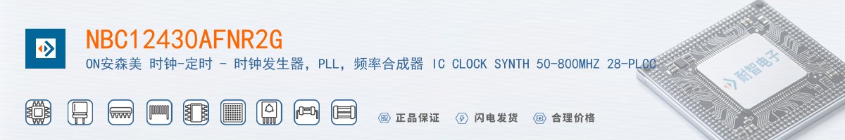 NBC12430AFNR2G������