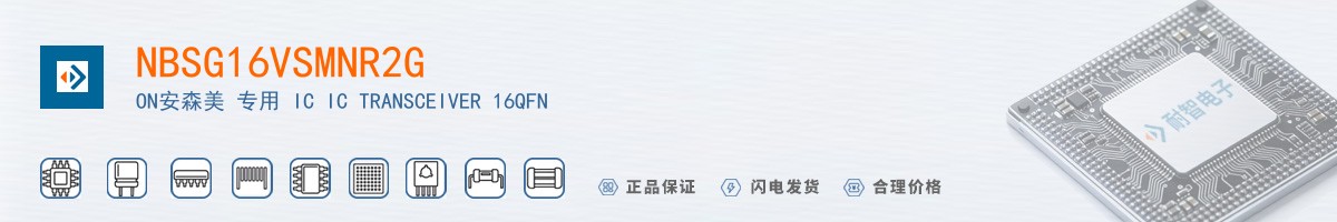 NBSG16VSMNR2G������