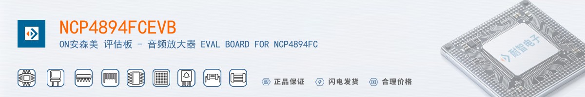 NCP4894FCEVB������
