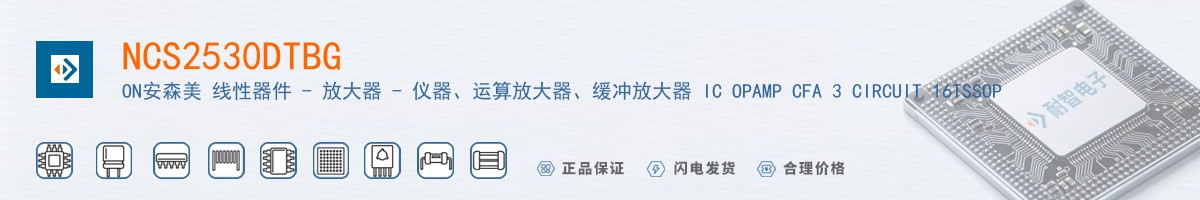 NCS2530DTBG������