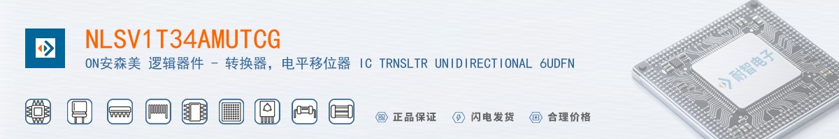 NLSV1T34AMUTCG������