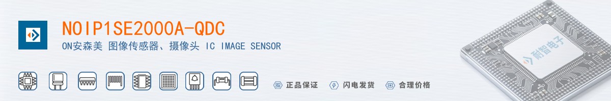 NOIP1SE2000A-QDC������