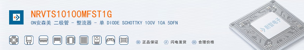 NRVTS10100MFST1G������