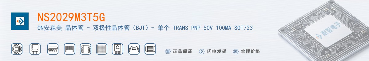 NS2029M3T5G������