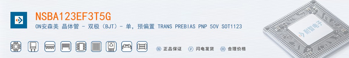 NSBA123EF3T5G������