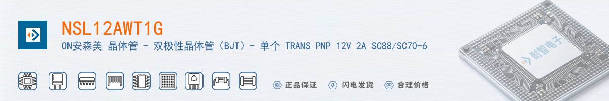 NSL12AWT1G������