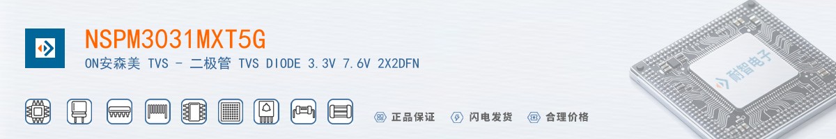 NSPM3031MXT5G������