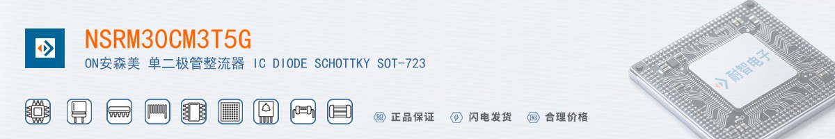 NSRM30CM3T5G������