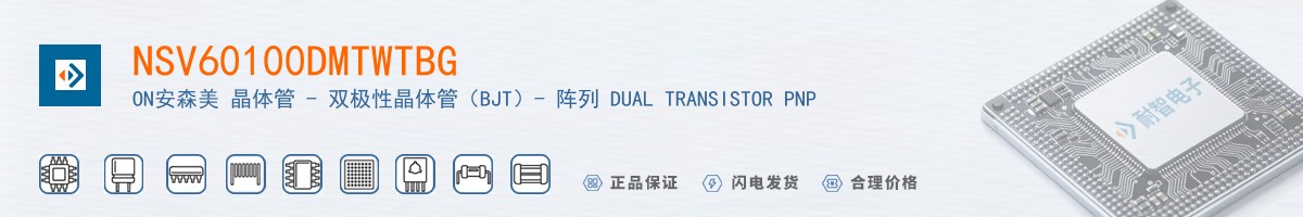 NSV60100DMTWTBG������