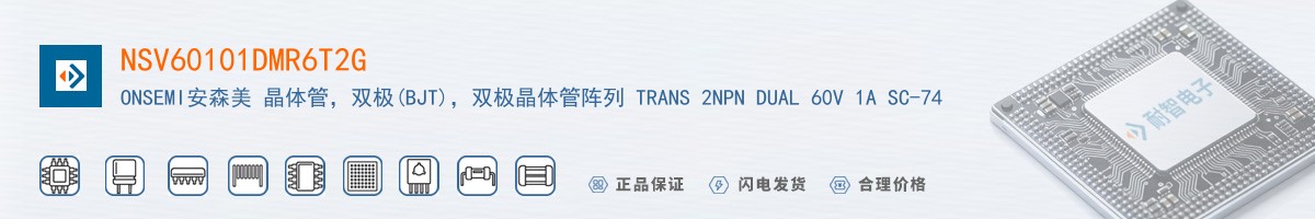NSV60101DMR6T2G������