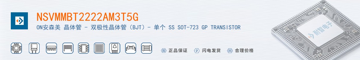 NSVMMBT2222AM3T5G������