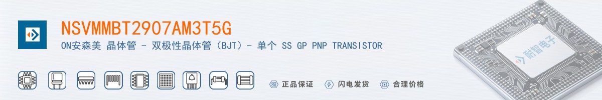 NSVMMBT2907AM3T5G������