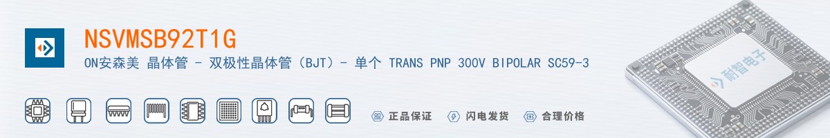 NSVMSB92T1G������