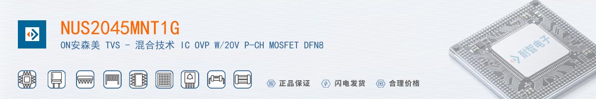 NUS2045MNT1G������