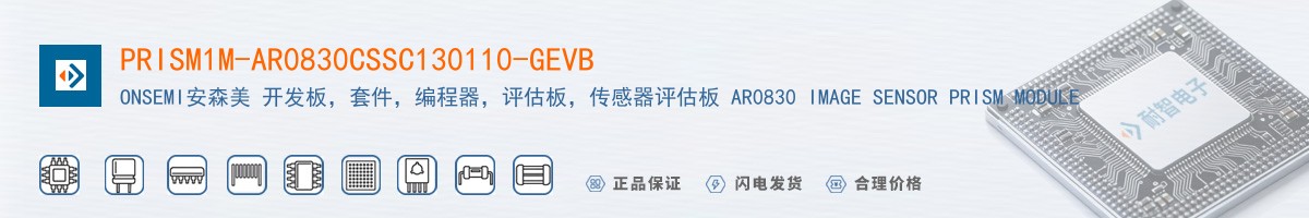 PRISM1M-AR0830CSSC130110-GEVB������