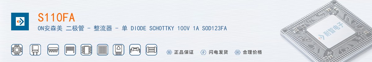 S110FA������