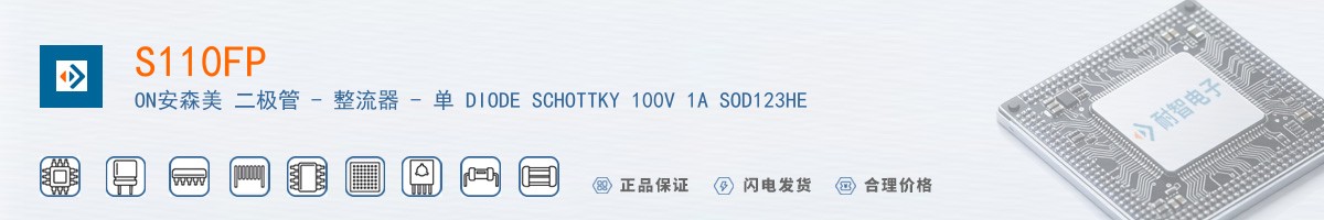 S110FP������