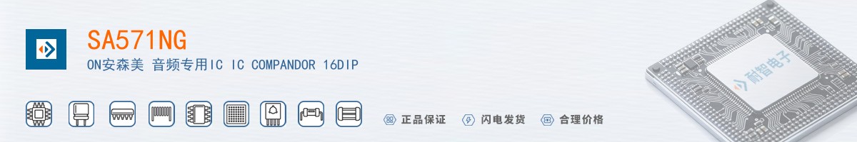 SA571NG������