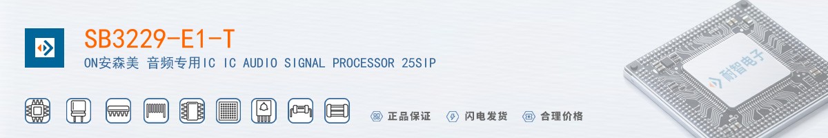 SB3229-E1-T������