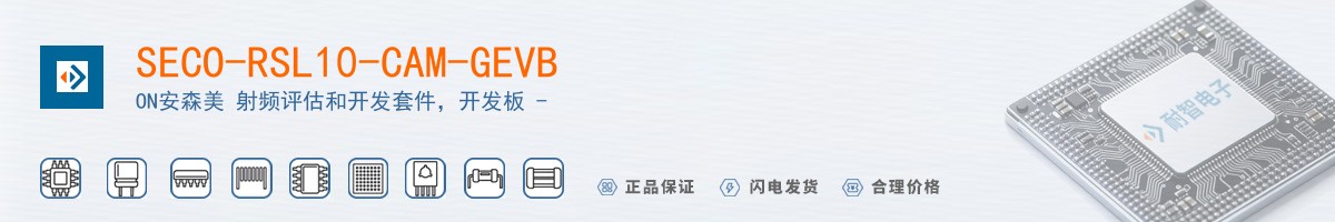 SECO-RSL10-CAM-GEVB������
