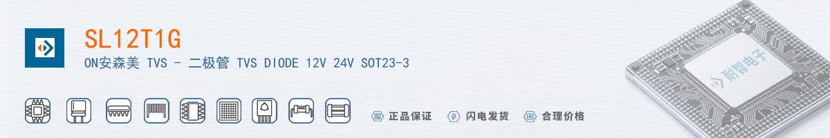 SL12T1G������