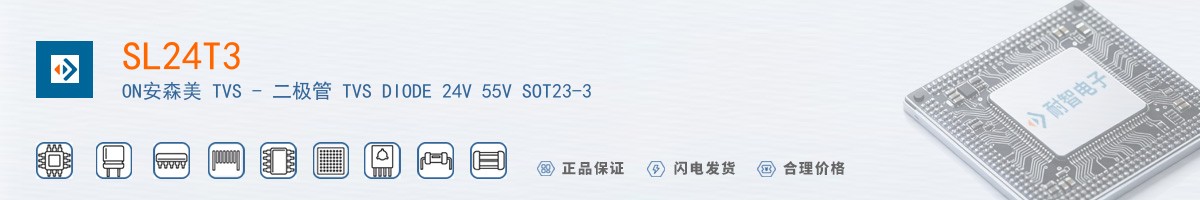 SL24T3������