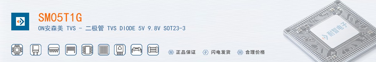 SM05T1G������