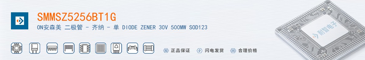 SMMSZ5256BT1G������