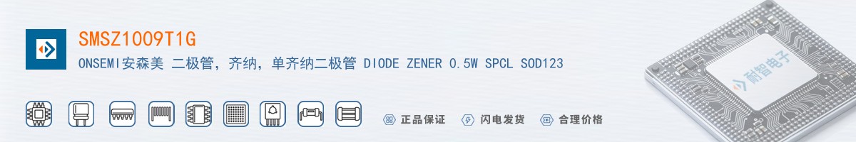 SMSZ1009T1G������