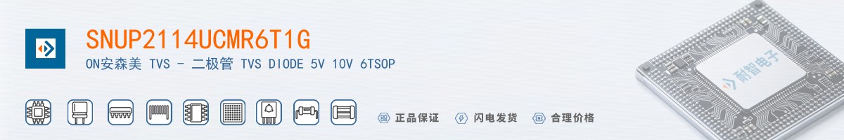 SNUP2114UCMR6T1G������